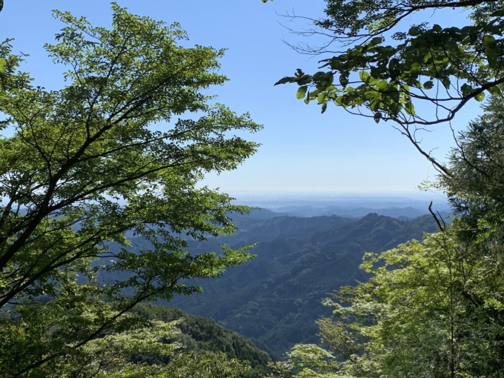 伊豆ヶ岳　山頂前　風景
