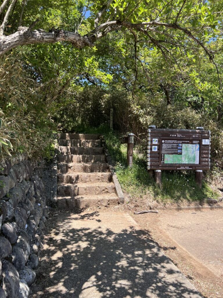 達磨山_登山口