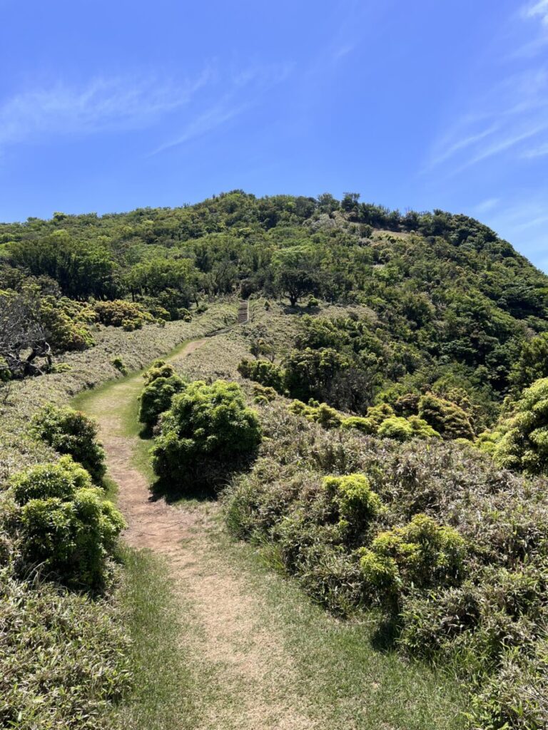 達磨山_登山道1