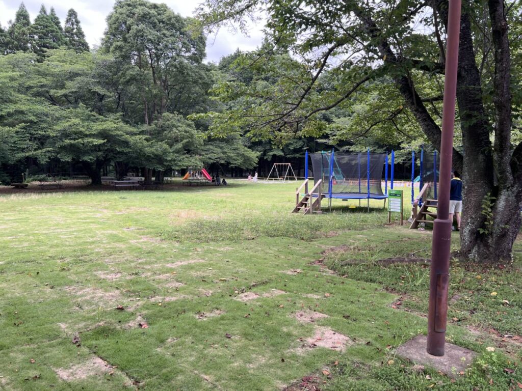 &GREEN龍ヶ崎_芝生の広場